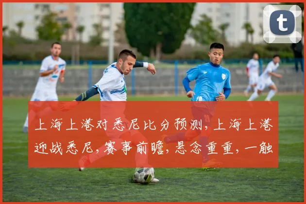 上海上港对悉尼比分预测,上海上港迎战悉尼,赛事前瞻,悬念重重,一触即发,谁将问鼎