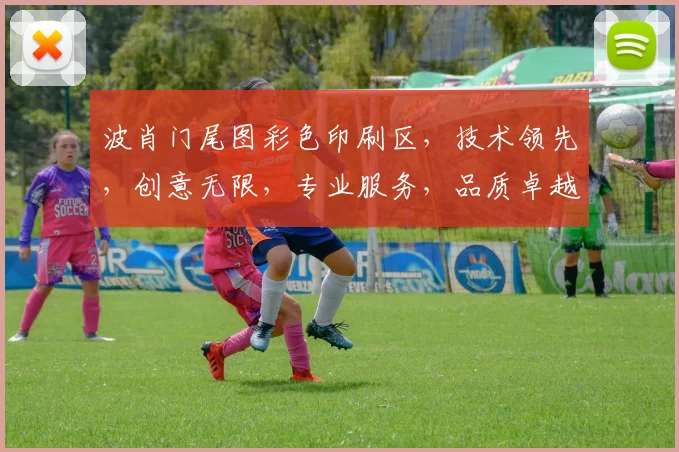 波肖门尾图彩色印刷区，技术领先，创意无限，专业服务，品质卓越，满足您多元化需求。